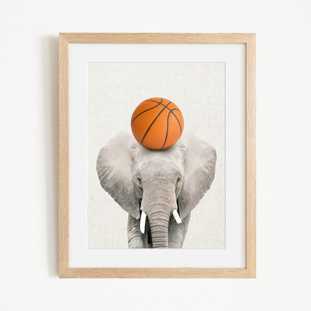 A gray elephant balances an orange basketball on its head, creating a playful and whimsical scene.