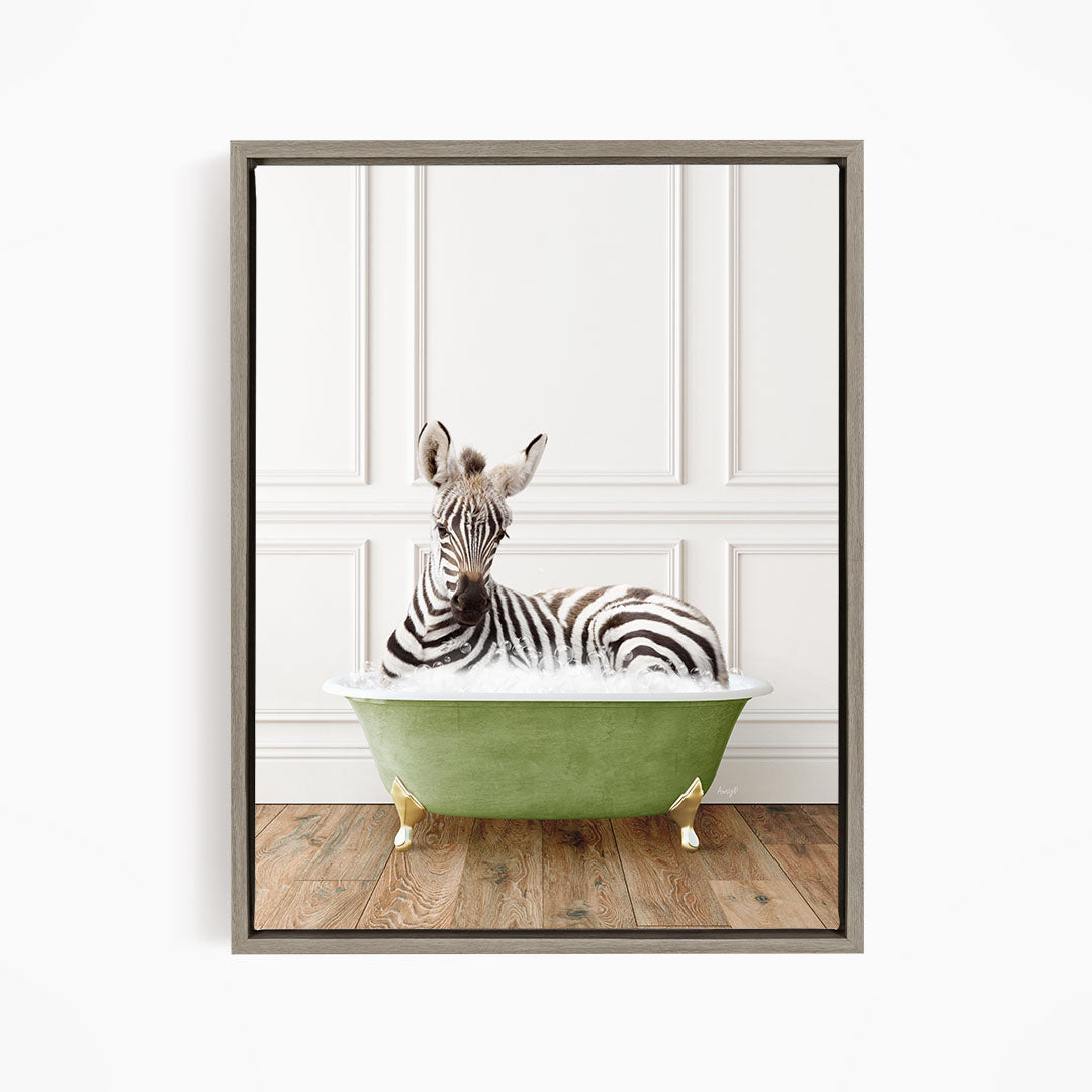 A zebra is sitting in a green bathtub, looking directly at the camera.