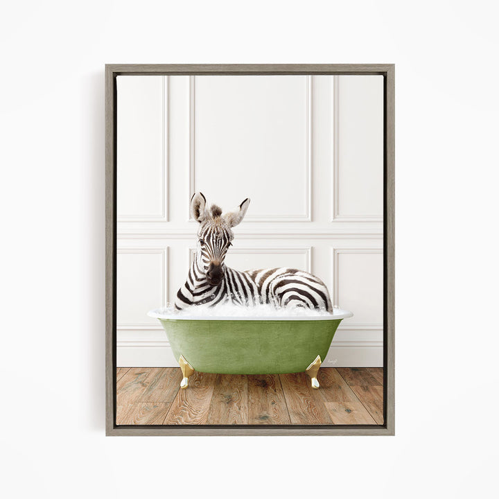 A zebra is sitting in a green bathtub, looking directly at the camera.