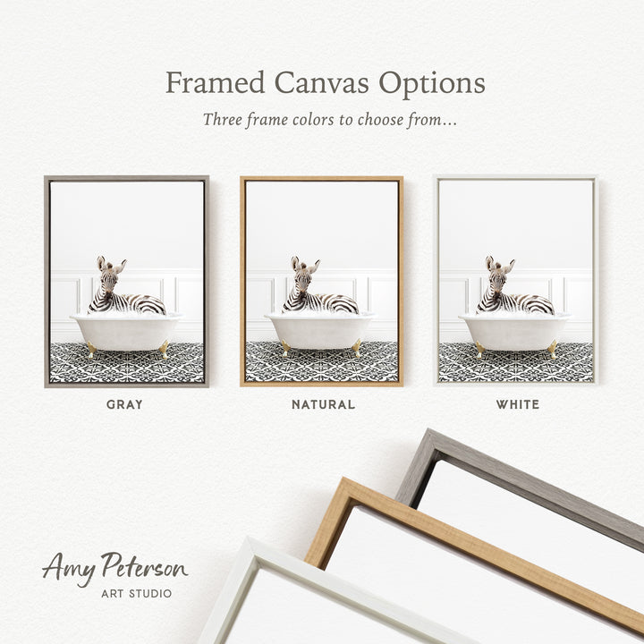 three framed canvas options, each featuring a zebra sitting in a bathtub. The options include a gray frame, a natural frame, and a white frame.