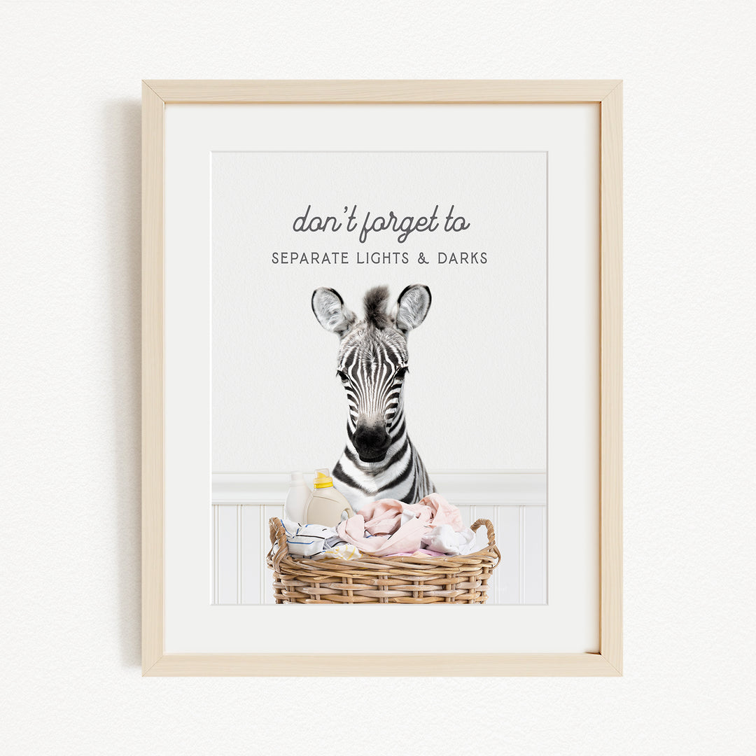 A framed image of a zebra standing in a basket filled with baby items, with the text "don't forget to separate lights & darks" written above the zebra.