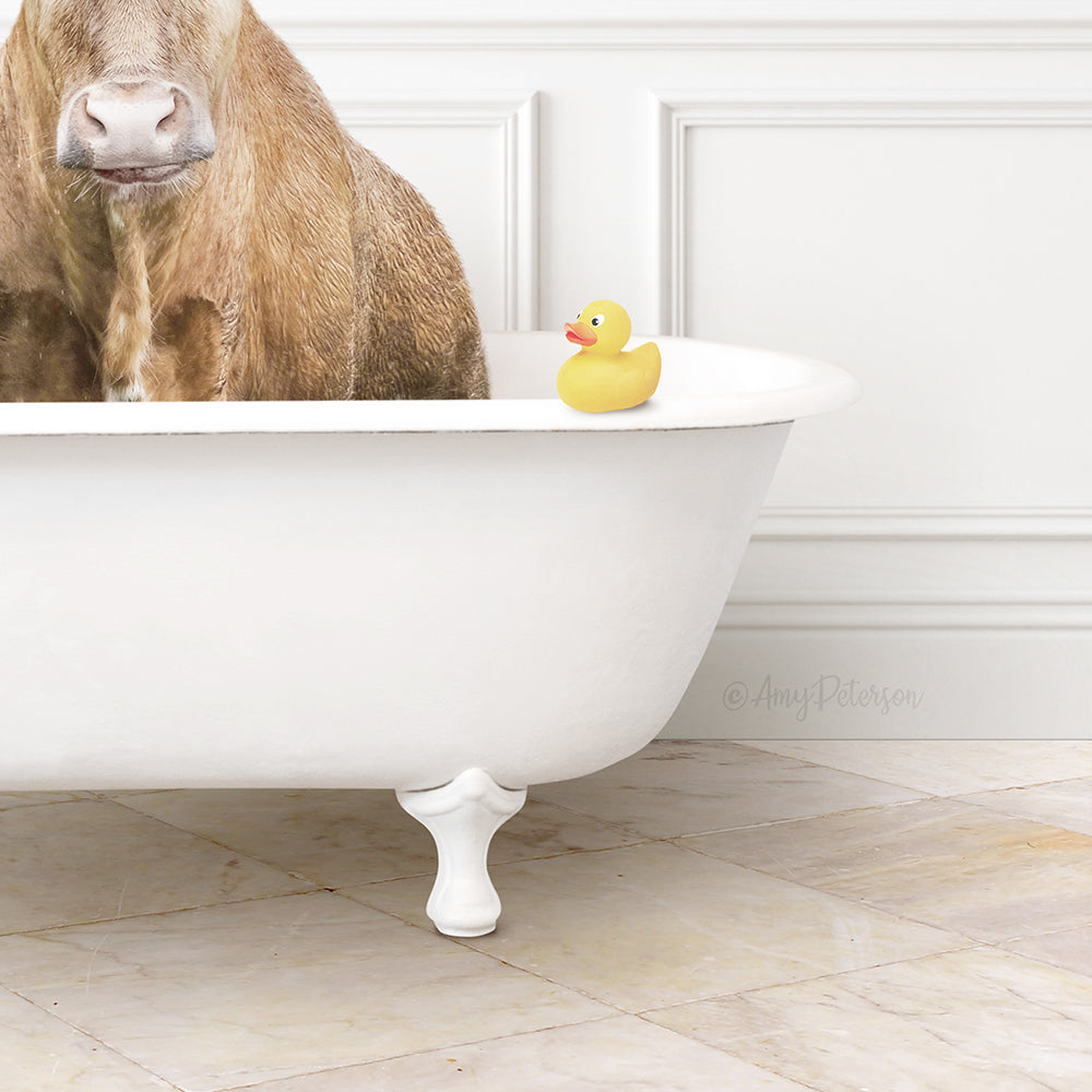 A brown cow is sitting in a white bathtub, with a yellow rubber duck on the edge of the tub.