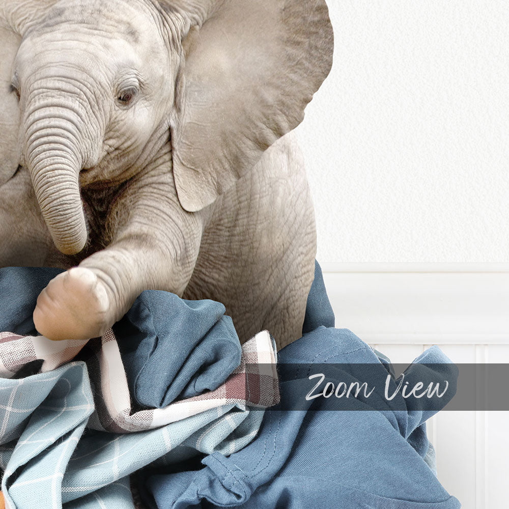 A baby elephant resting on a pile of clothes, with the text "Zoom View" overlaid on the image.