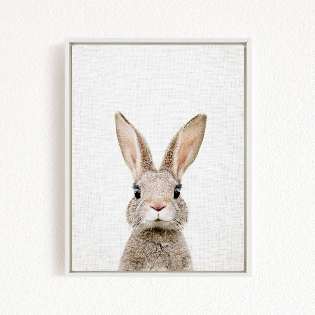 A close-up portrait of a rabbit with large ears and a pink nose, looking directly at the camera.