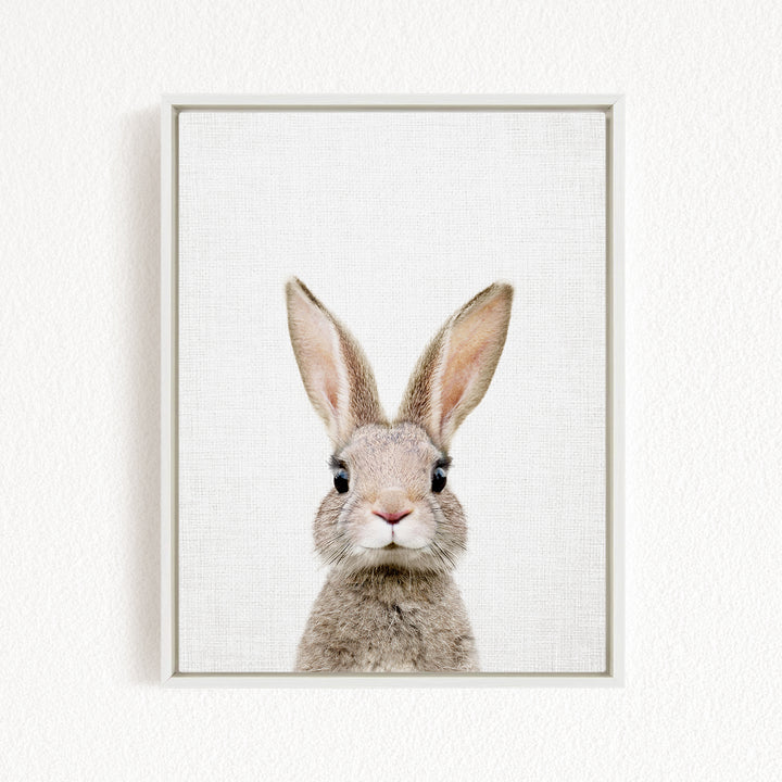 A close-up portrait of a rabbit with large ears and a pink nose, looking directly at the camera.