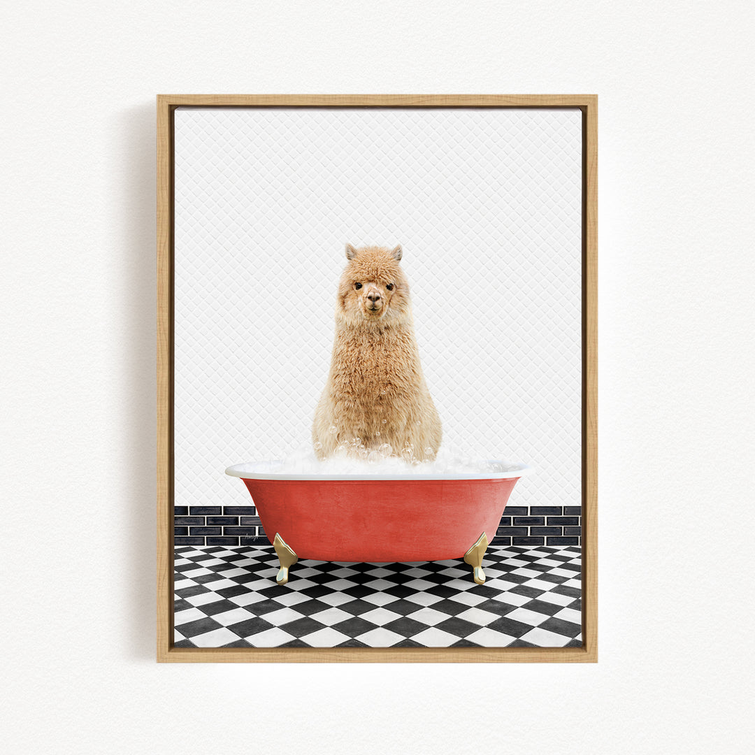 A fluffy brown dog sitting in a red bathtub filled with water, with a black and white checkered floor in the background.