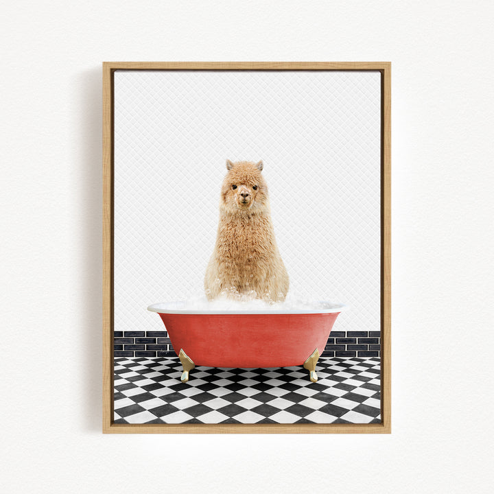 A fluffy brown dog sitting in a red bathtub filled with water, with a black and white checkered floor in the background.