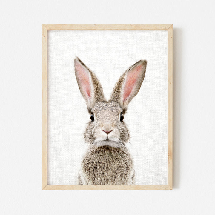 a picture of a rabbit in a wooden frame