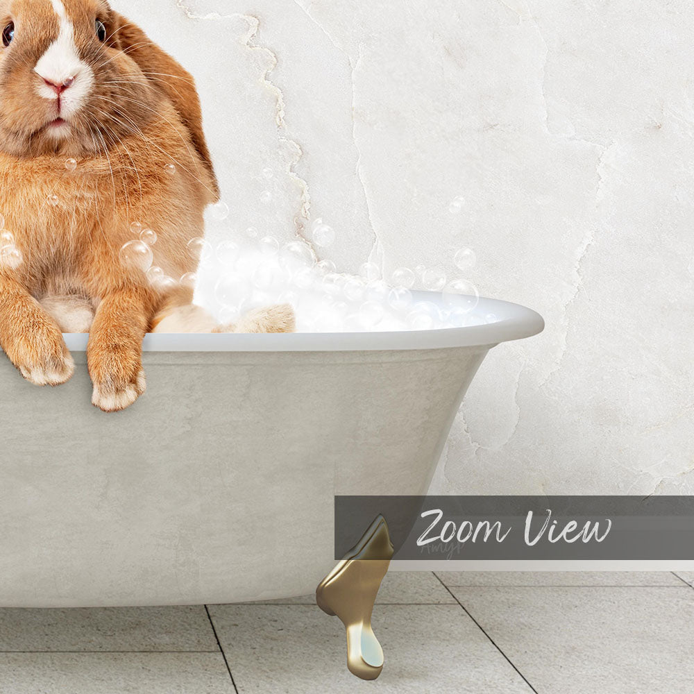 A cute orange rabbit sitting in a white bathtub filled with bubbles, with the text "Zoom View" below the image.