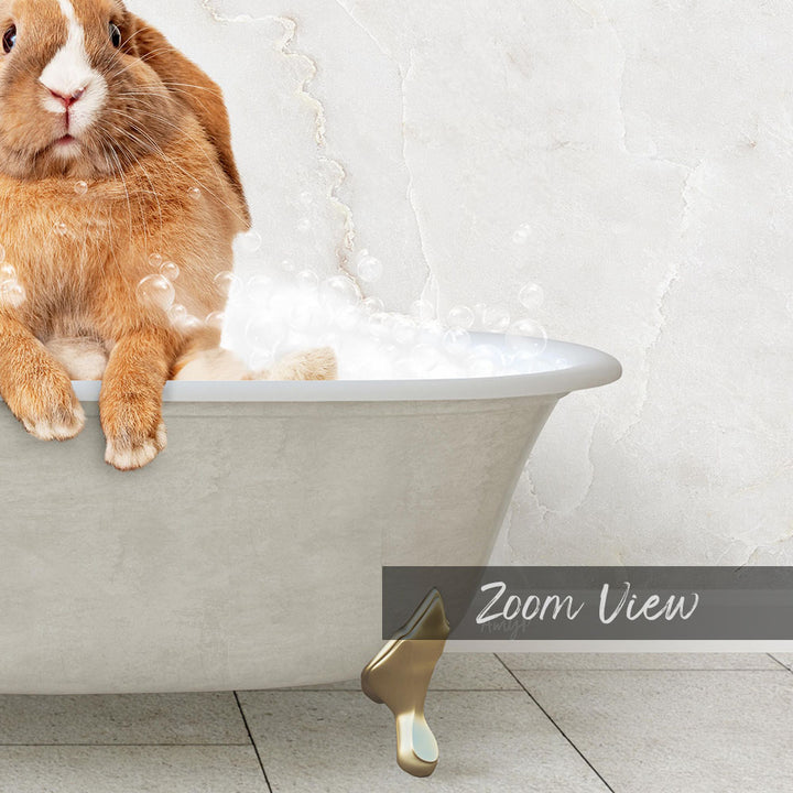 A cute orange rabbit sitting in a white bathtub filled with bubbles, with the text "Zoom View" below the image.