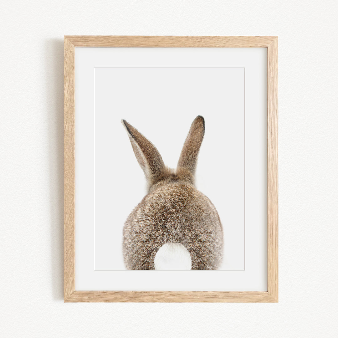 A framed image of a rabbit's back, showing its fluffy tail and ears.