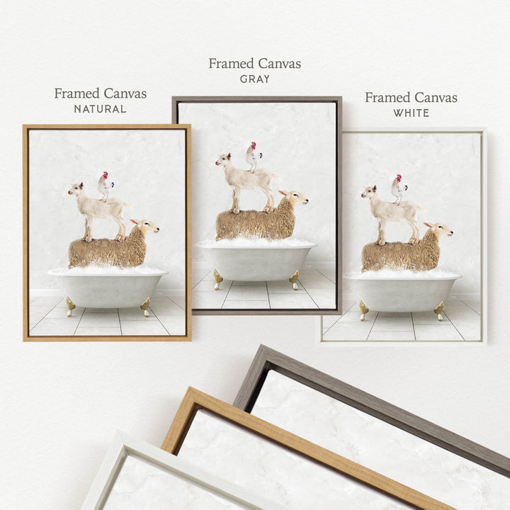 three framed pictures of sheep standing on bathtubs, each in a different frame color: natural, gray, and white.