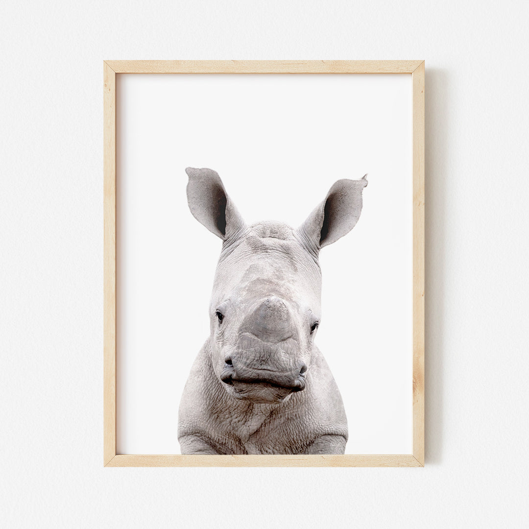 a picture of a baby rhino in a wooden frame