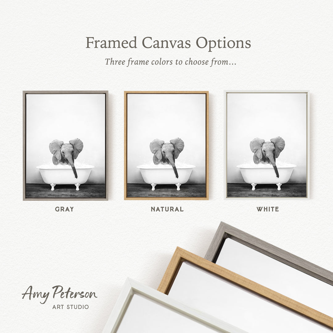 three framed canvas options, each featuring a black and white photograph of an elephant in a bathtub. The options include a gray frame, a natural frame, and a white frame.