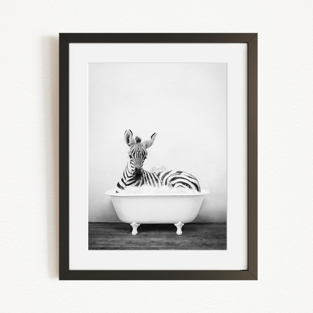 A zebra lying in a white bathtub, appearing relaxed and content.