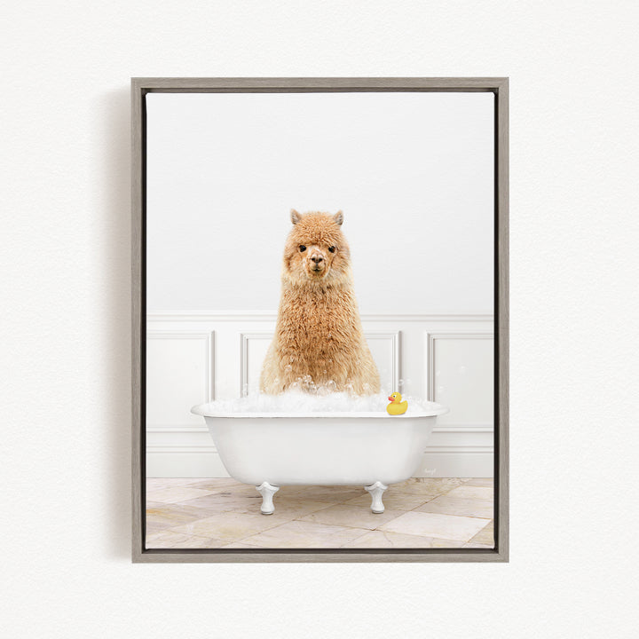 A fluffy alpaca sits in a white bathtub filled with bubbles, with a rubber duck floating nearby.