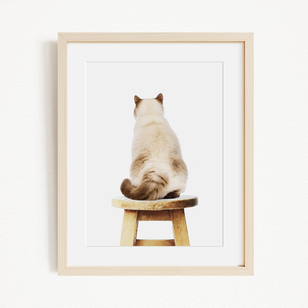 A Siamese cat is sitting on a wooden stool, facing away from the camera.