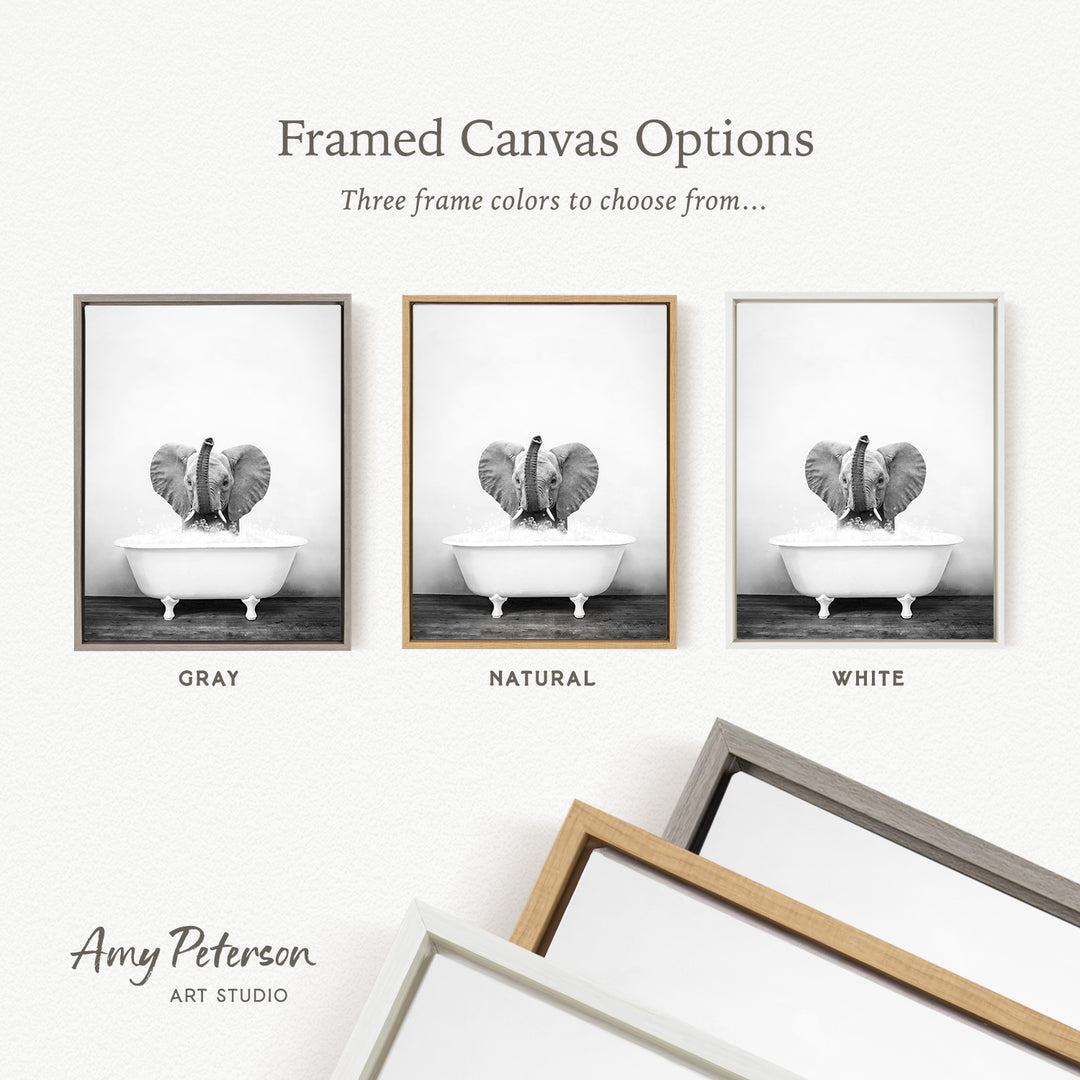 three framed canvas options, each featuring a black and white photograph of an elephant in a bathtub. The options include a gray frame, a natural frame, and a white frame.