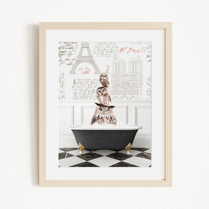 A framed image depicting a group of owls sitting in a bathtub, with the Eiffel Tower and other Parisian landmarks visible in the background.