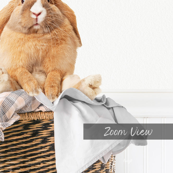 A fluffy orange rabbit sits in a woven basket, surrounded by a gray blanket and a white wall.