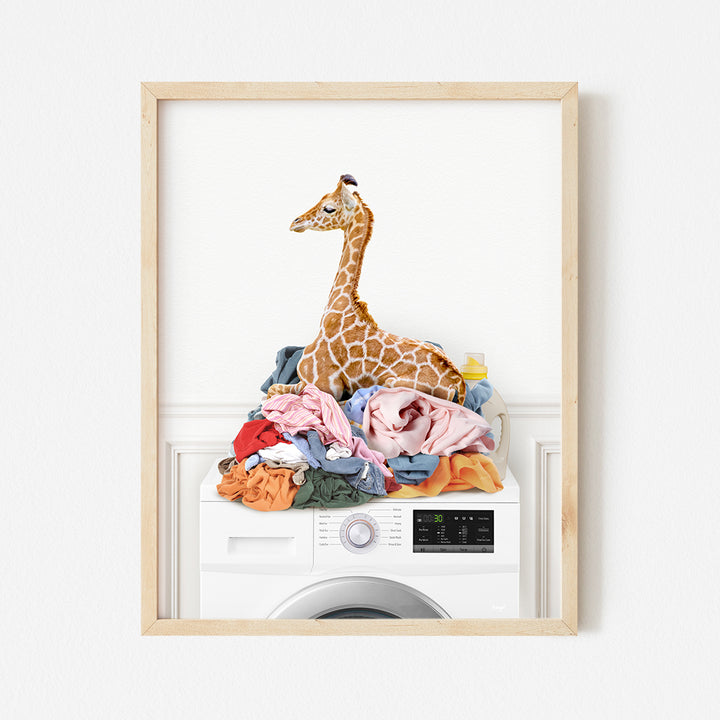 a picture of a giraffe sitting on top of a washing machine