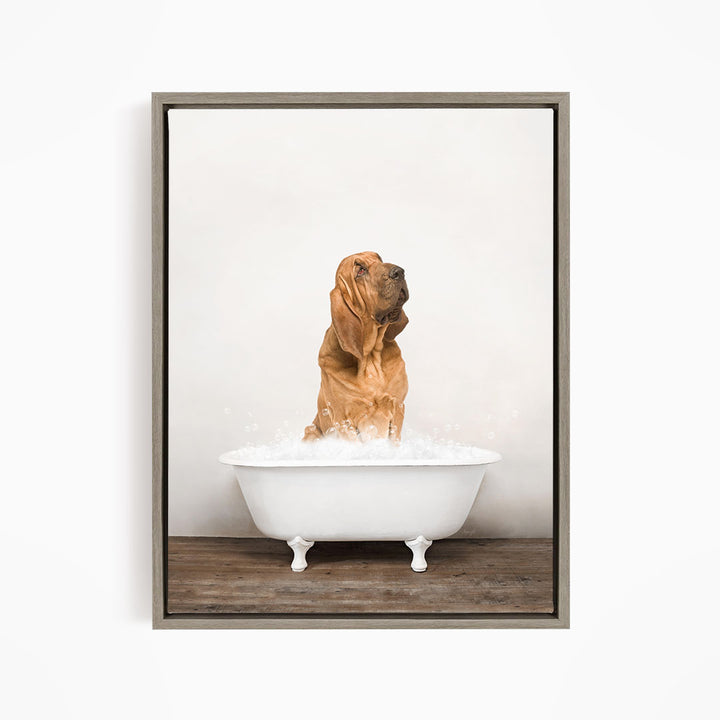 A brown dog sitting in a white bathtub filled with water, looking up at the camera.