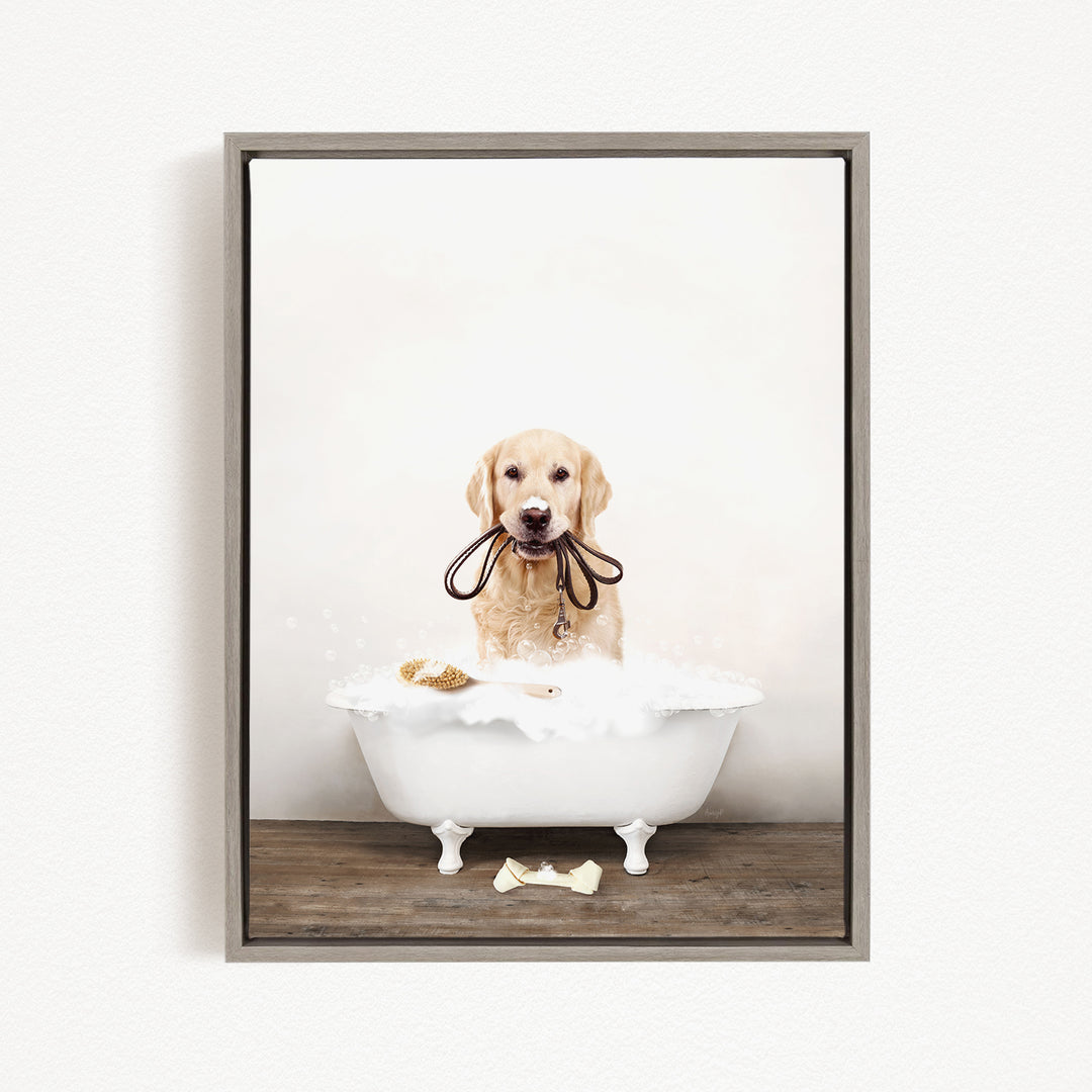 A golden retriever dog sitting in a white bathtub filled with bubbles, holding a leash in its mouth.