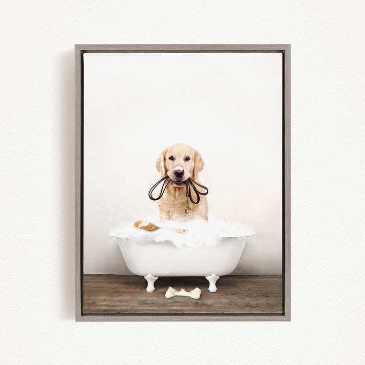 A golden retriever dog sitting in a white bathtub filled with bubbles, holding a leash in its mouth.