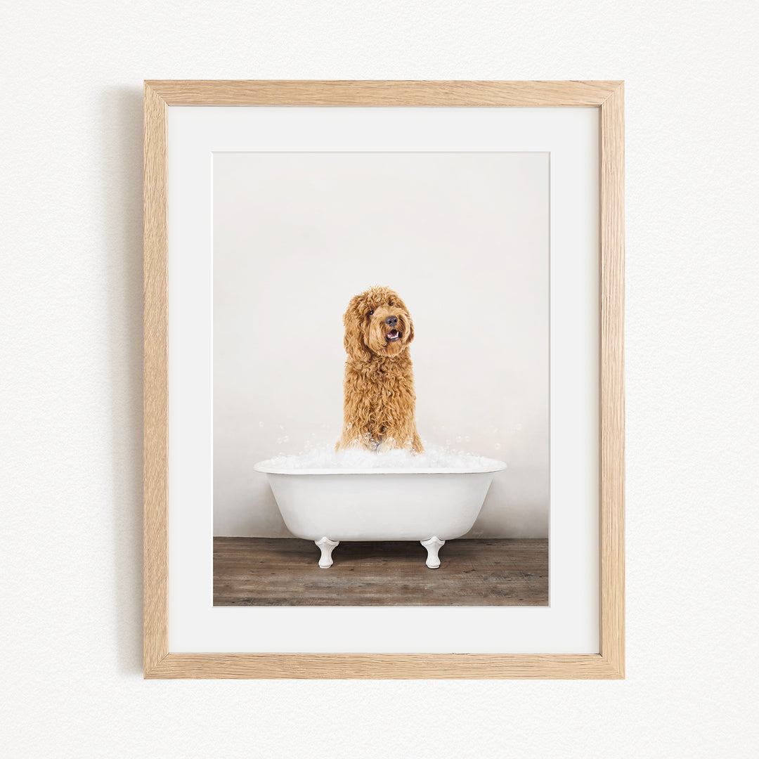 A brown dog sitting in a white bathtub filled with water, looking up at the camera.