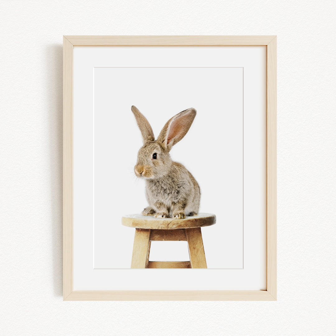 A cute, fluffy rabbit sitting on a wooden stool.