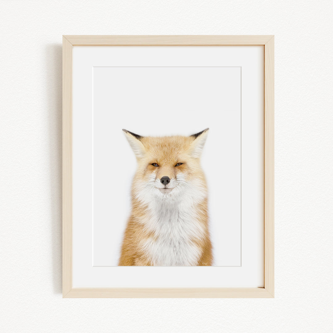 A framed print of a red fox with a white chest and brown fur, looking directly at the camera.