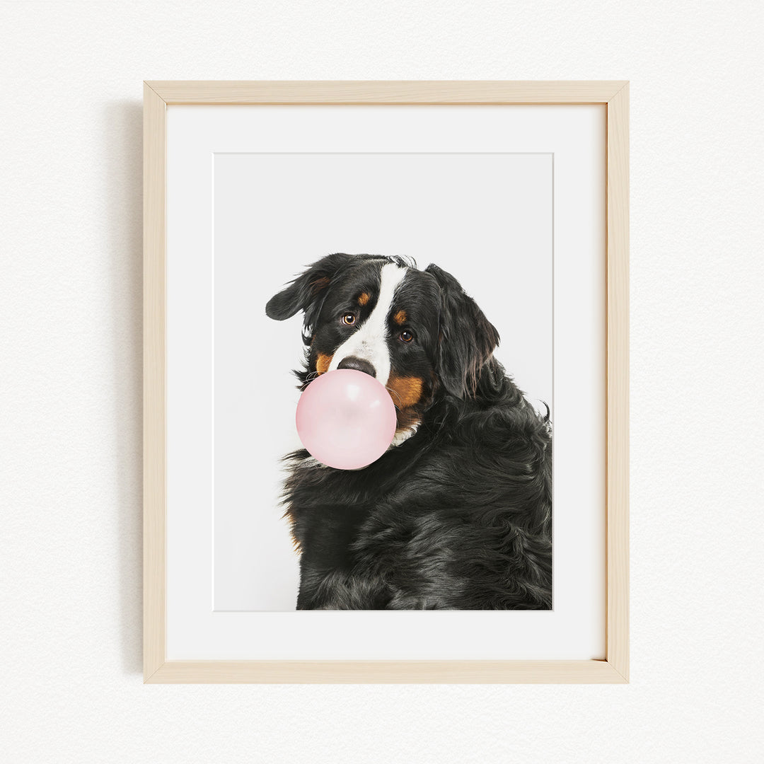 A black and white dog is blowing a bubble with a pink bubble gum bubble.