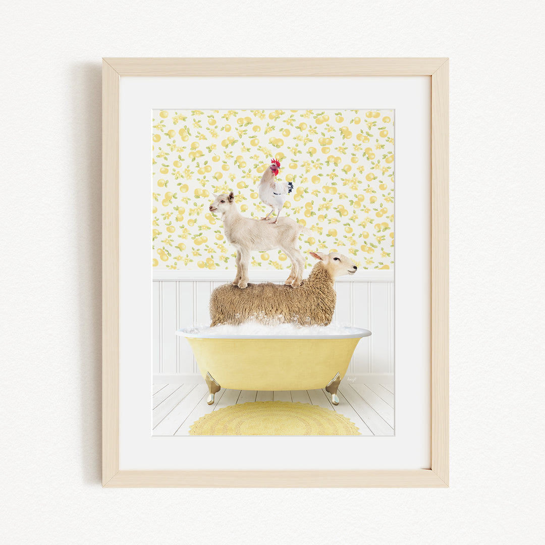 A framed image depicting a sheep standing on a tub filled with water, with a chicken perched on top of the sheep.