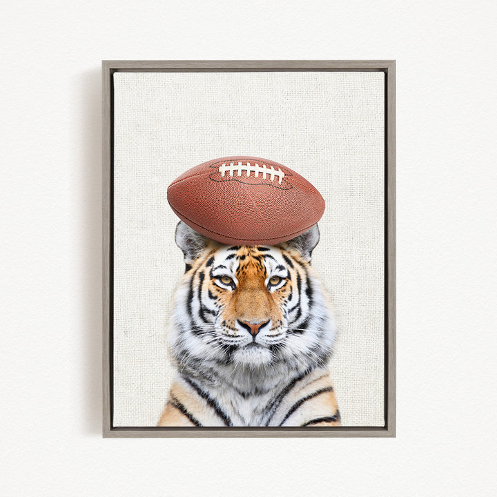 A tiger with a football on its head, looking directly at the camera.