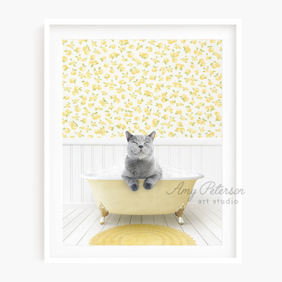 a cat sitting in a bathtub with a yellow rug