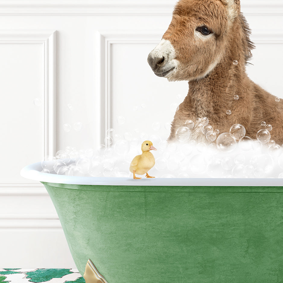 a baby donkey in a bathtub with bubbles and a rubber duck