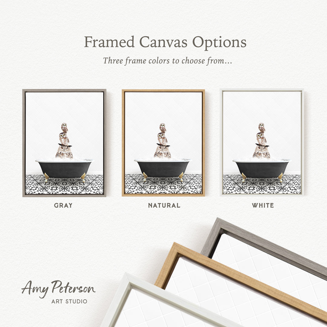 three framed canvas options, each with a different color: gray, natural, and white. The text above the images reads " Framed Canvas Options" and "Three frame colors to choose from...". The bottom of the image includes the text " Amy Peterson ART STUDIO".
