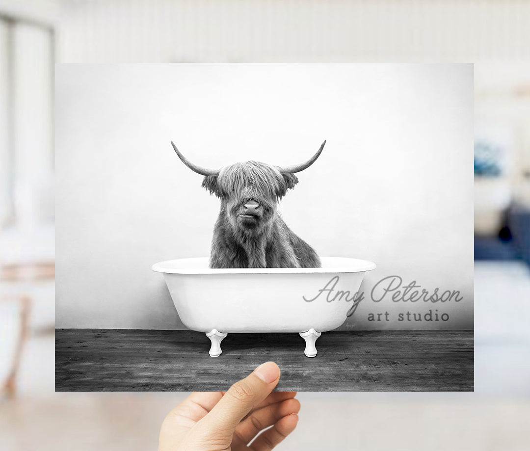 a black and white photo of a bull in a bathtub