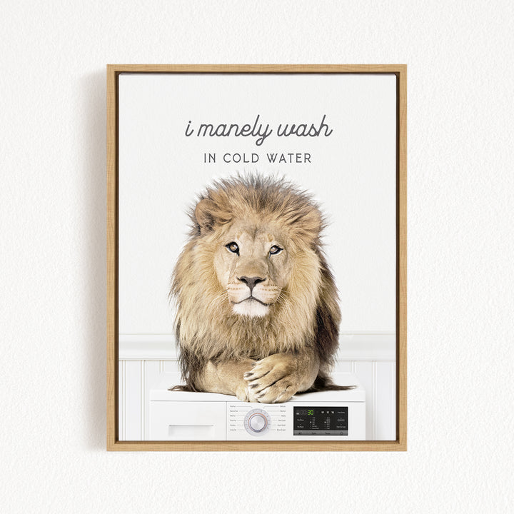 A framed image of a lion sitting on a washing machine, with the text "I merely wash in cold water" above the lion.