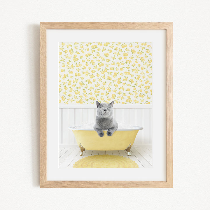 A gray cat sitting in a yellow bathtub, with a yellow floral wallpaper in the background.