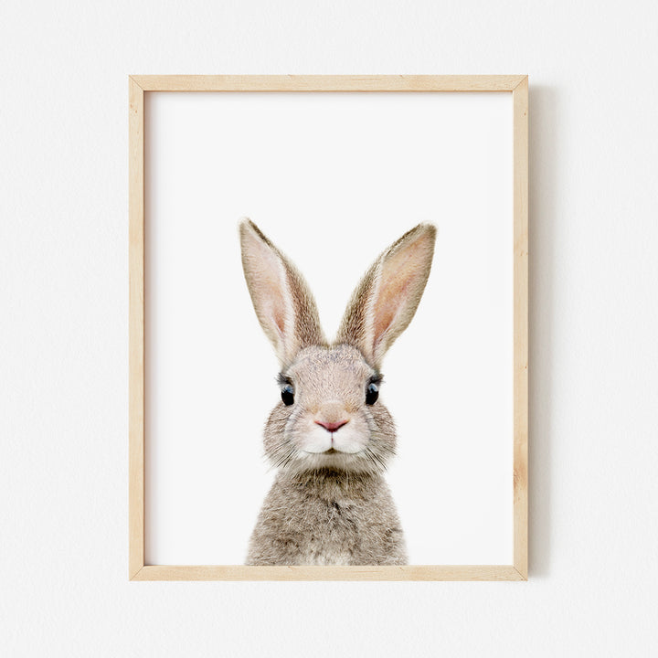 a framed picture of a rabbit's face