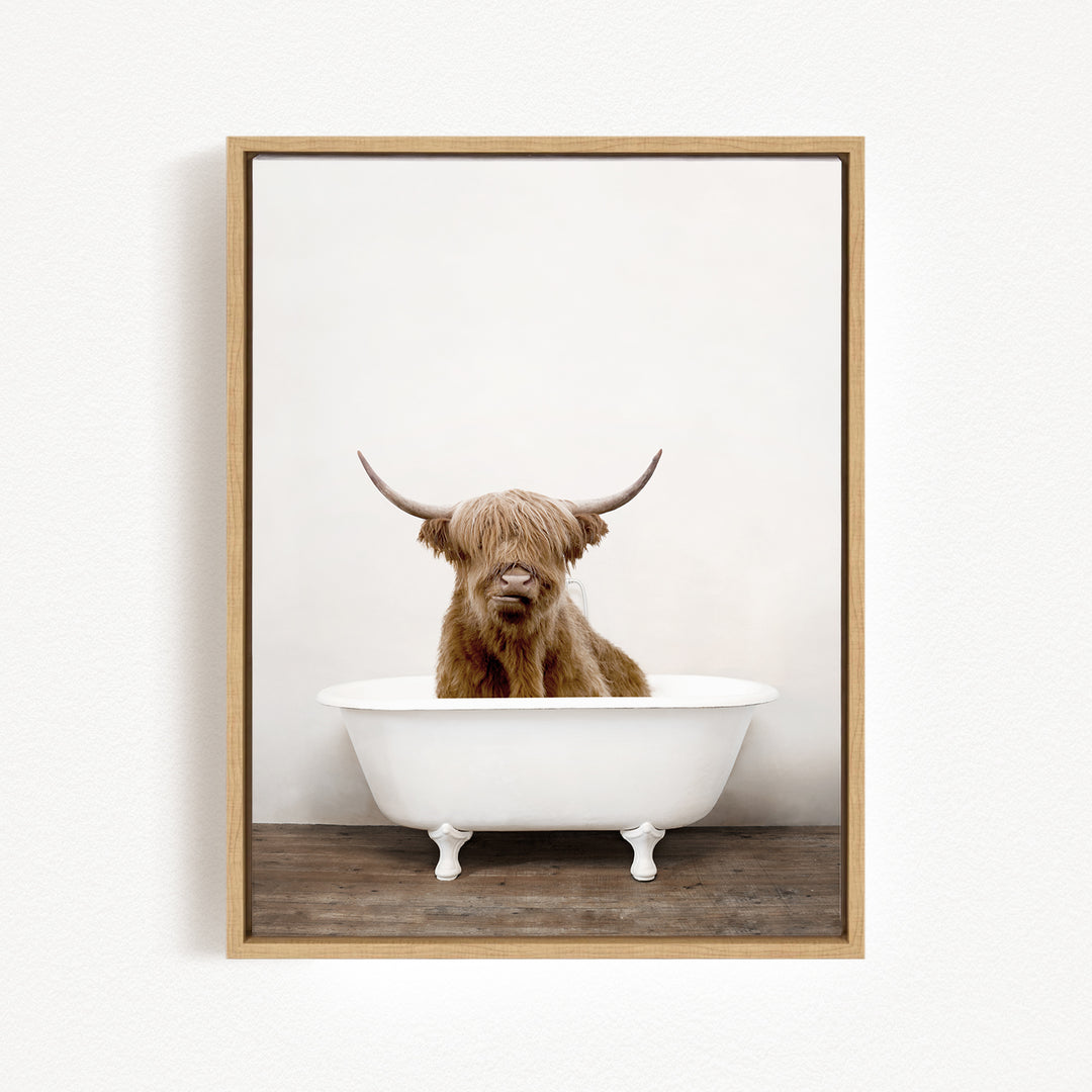 A Highland cow with shaggy hair is sitting in a white bathtub, with its horns prominently displayed.