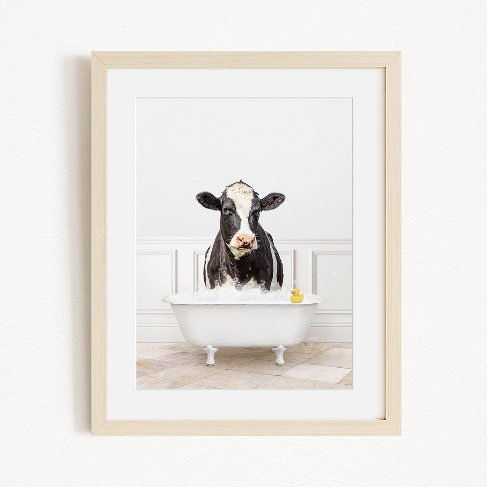 A black and white cow is sitting in a white bathtub filled with water, with a yellow rubber duck floating on the surface.