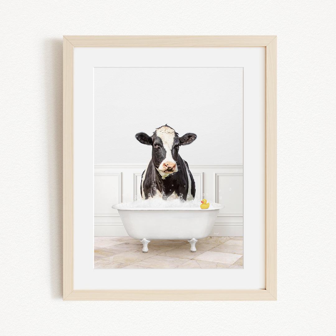 A black and white cow is sitting in a white bathtub filled with water, with a yellow rubber duck floating on the surface.