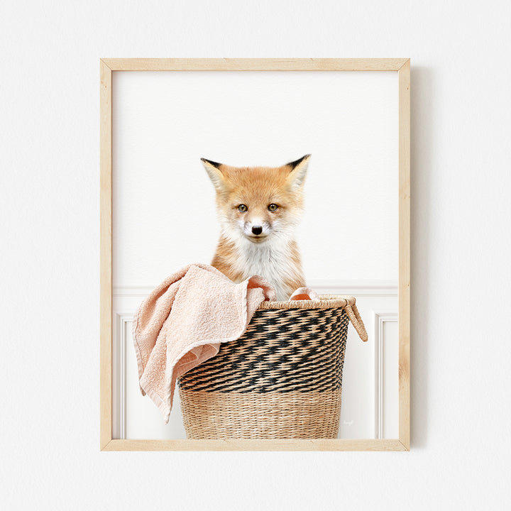 a picture of a fox sitting in a basket