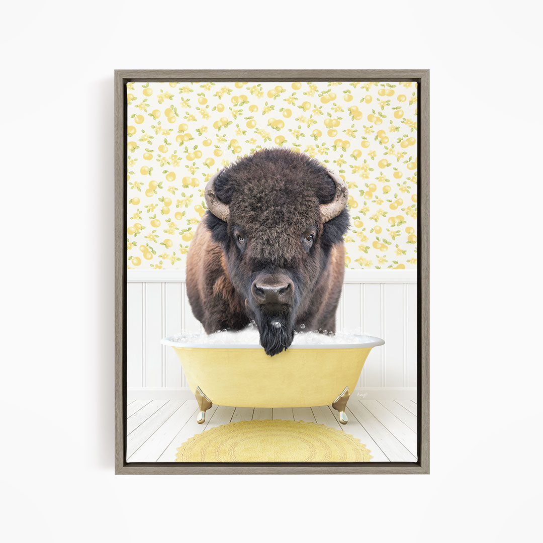 A buffalo with a black mane and horns is sitting in a yellow bathtub filled with water, looking directly at the camera.