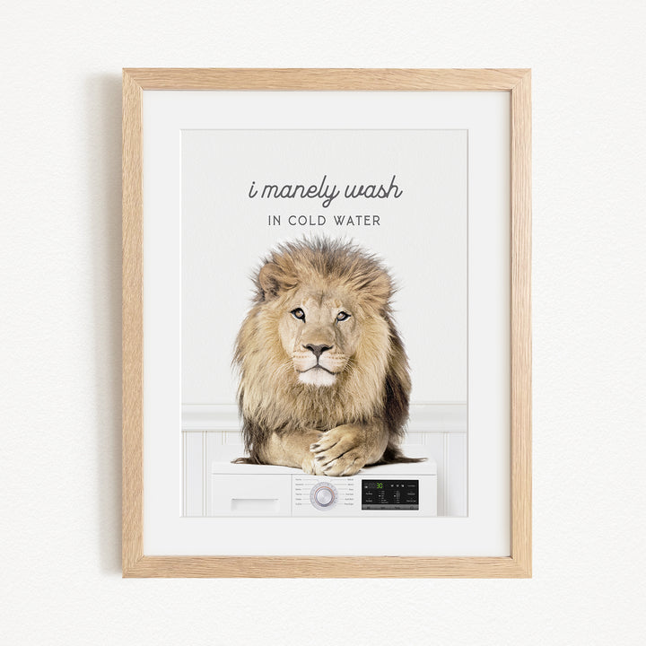 A framed image of a lion sitting on a washing machine, with the text "I manly wash in cold water" above the lion.
