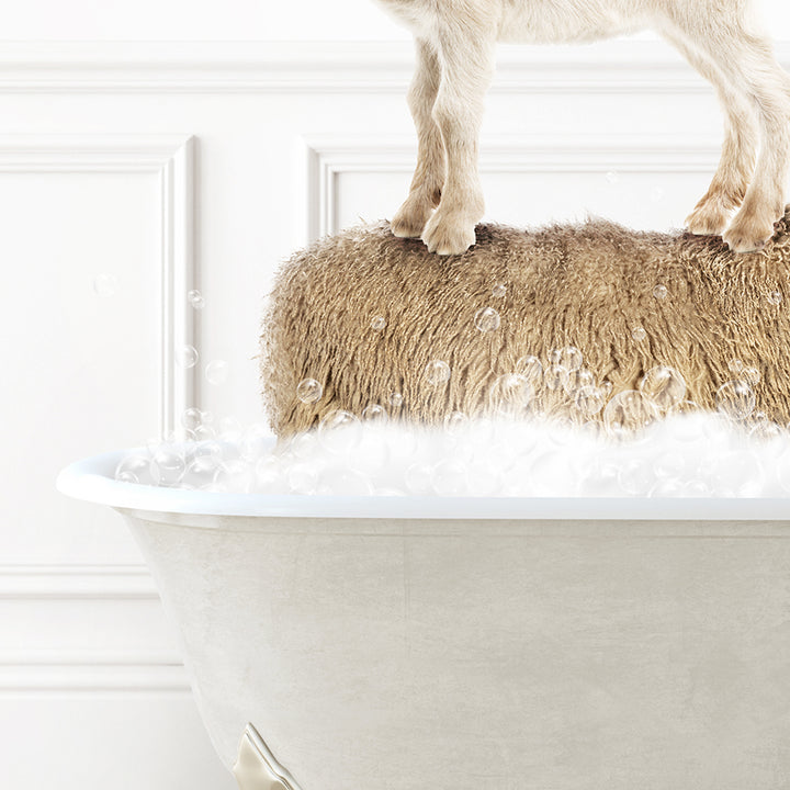 a dog standing on top of a sheep in a bathtub