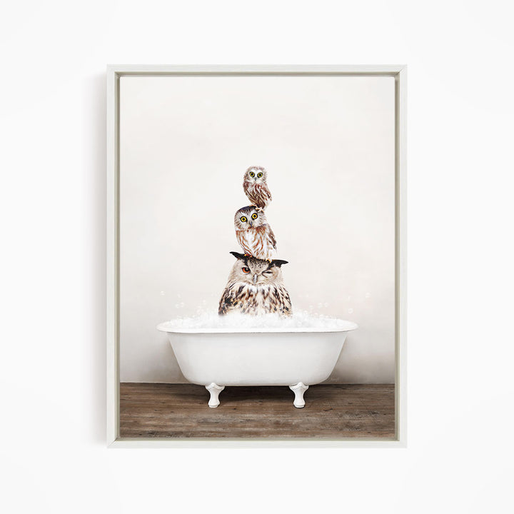 A white bathtub filled with water, with three owls sitting on top of it.