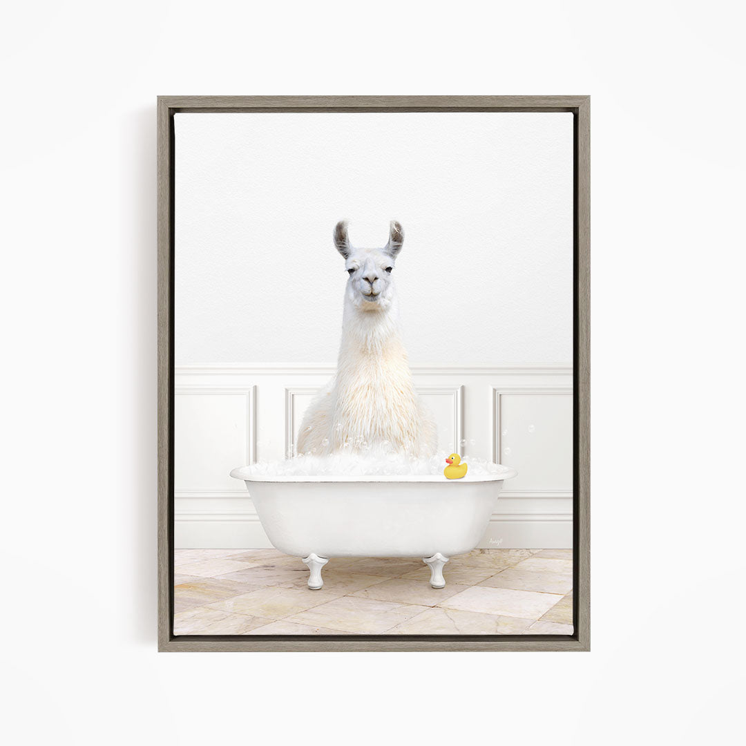 A white llama sitting in a white bathtub, with a rubber duck floating in the water.